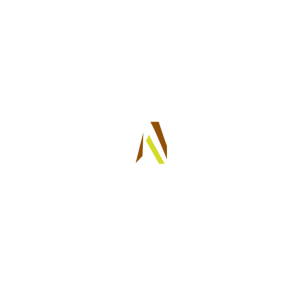 Logo Bouwbedrijf van Noord 